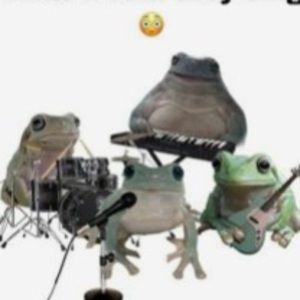 Meet your Posher, Sidney